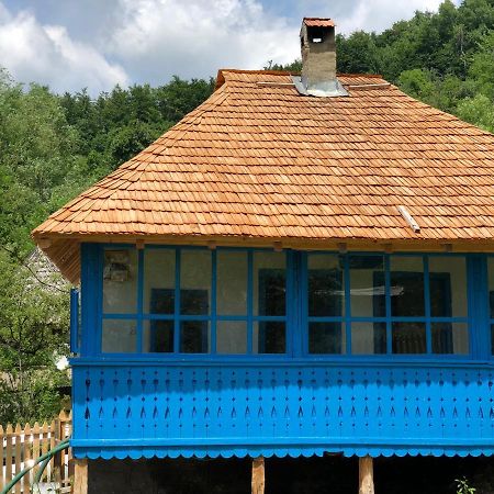 Casa Albastra Villa Băile Olăneşti Exteriör bild