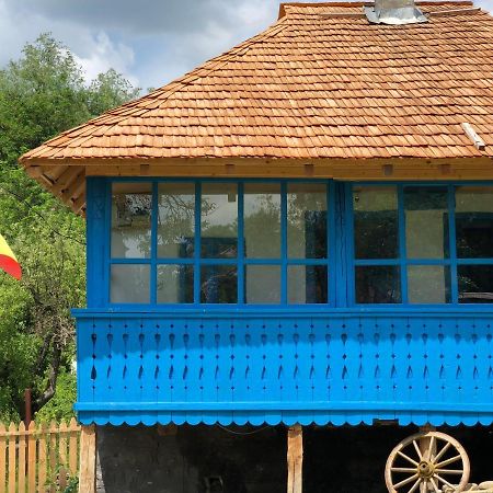 Casa Albastra Villa Băile Olăneşti Exteriör bild