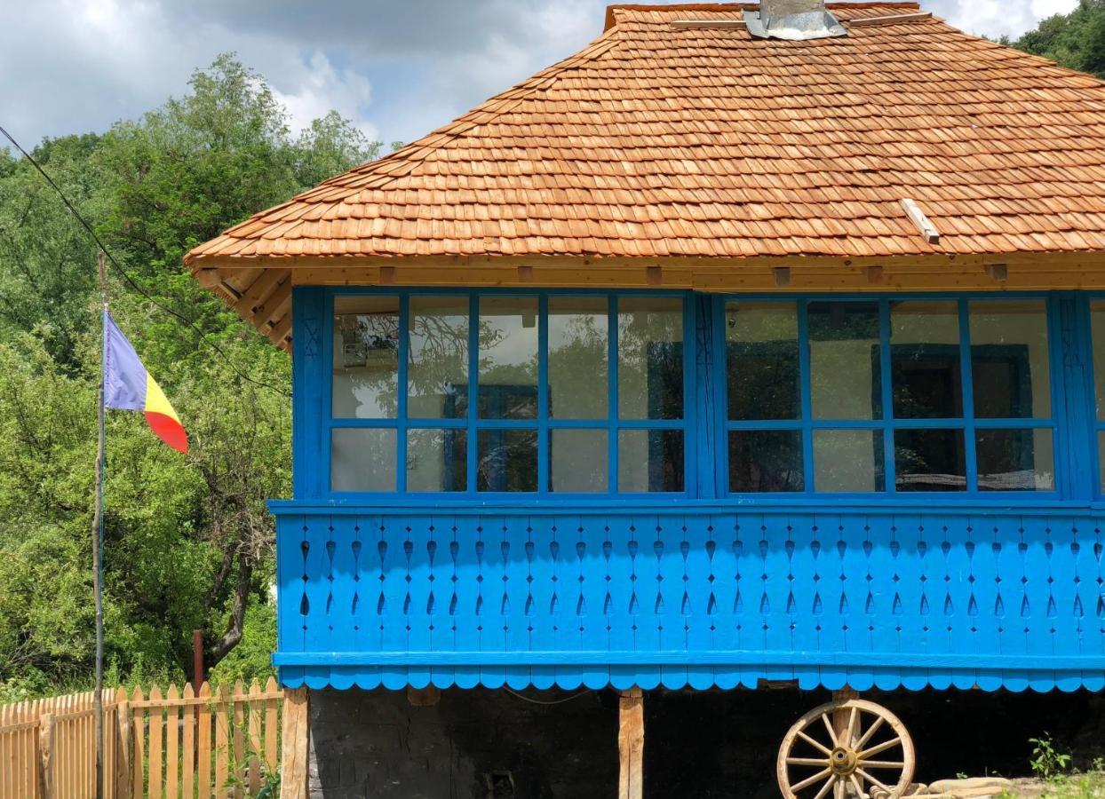 Casa Albastra Villa Băile Olăneşti Exteriör bild