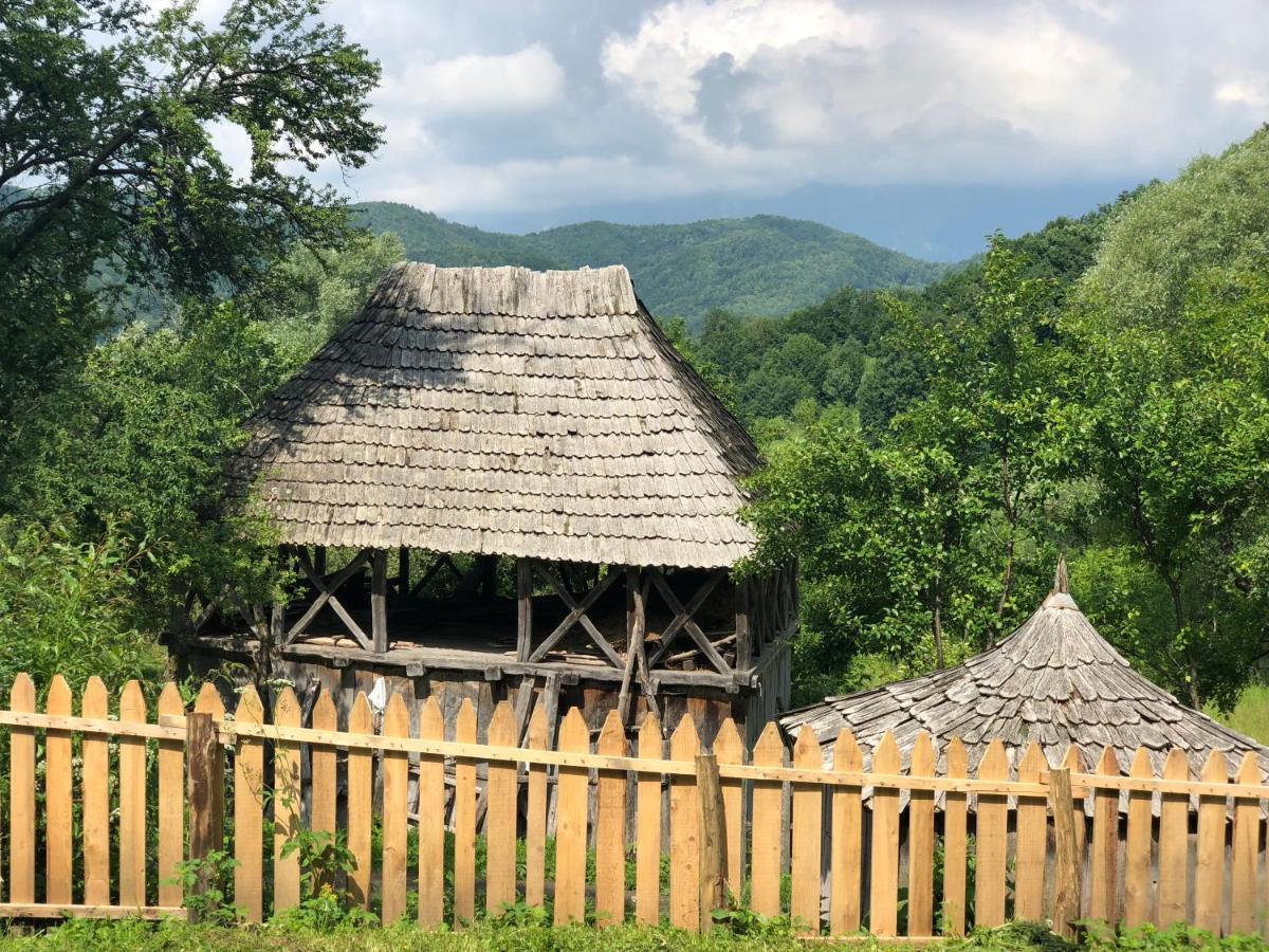 Casa Albastra Villa Băile Olăneşti Exteriör bild