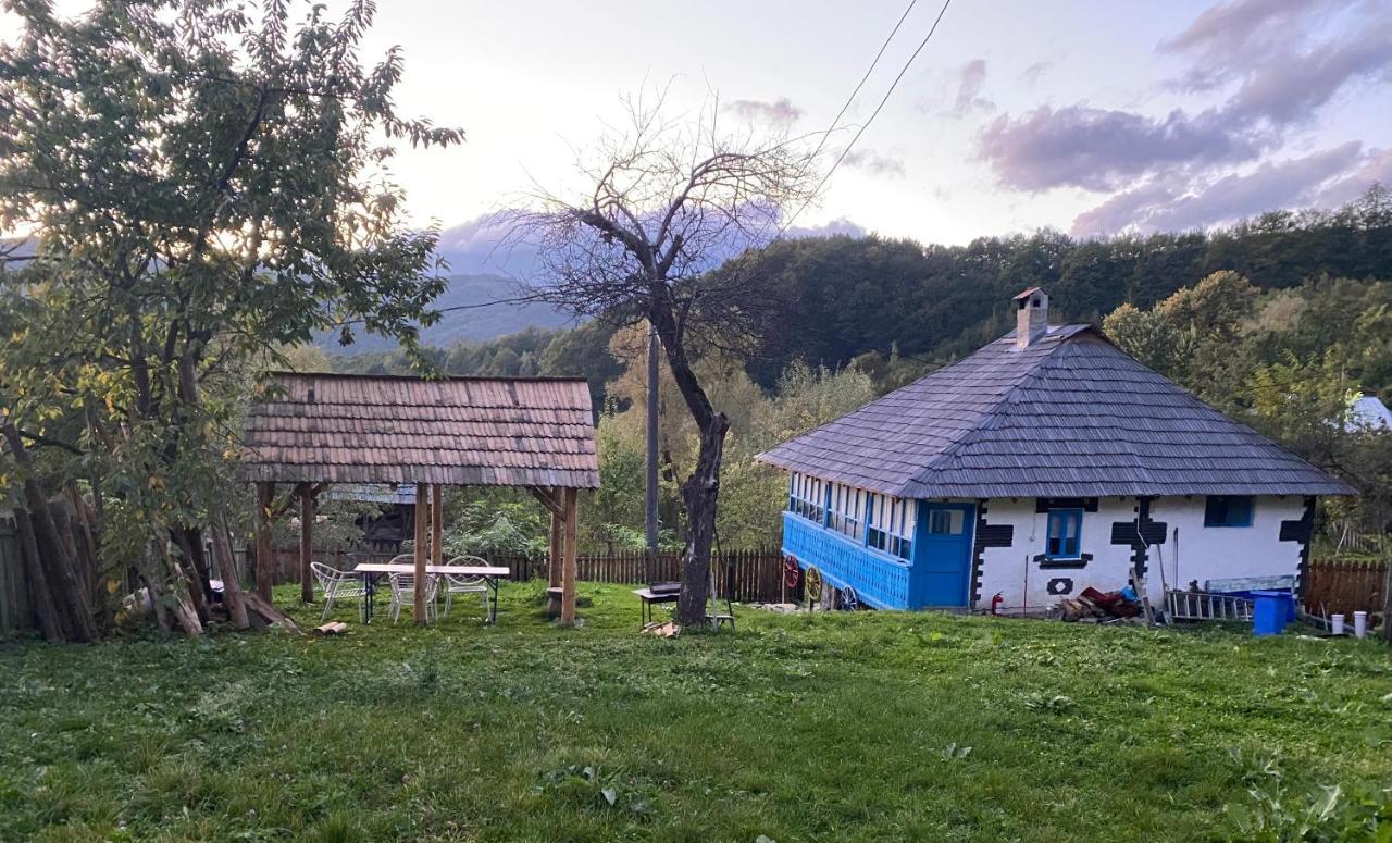 Casa Albastra Villa Băile Olăneşti Exteriör bild